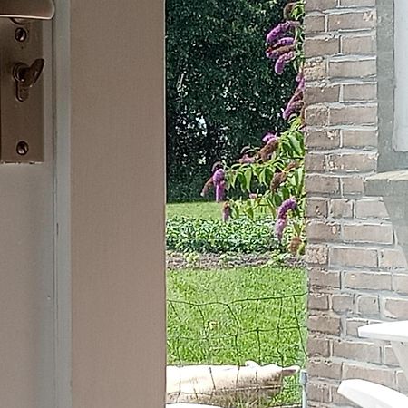 In Het Mooie Friesland Vele Bezienswaardigheden Hantum Zewnętrze zdjęcie