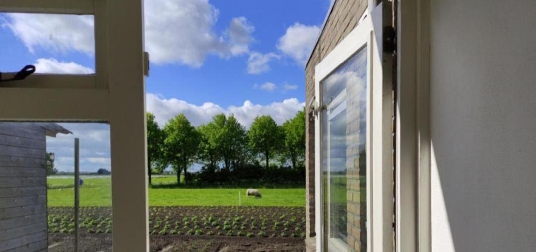In Het Mooie Friesland Vele Bezienswaardigheden Hantum Zewnętrze zdjęcie