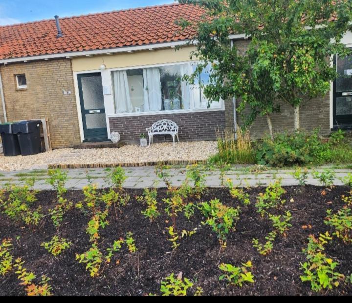 In Het Mooie Friesland Vele Bezienswaardigheden Hantum Zewnętrze zdjęcie
