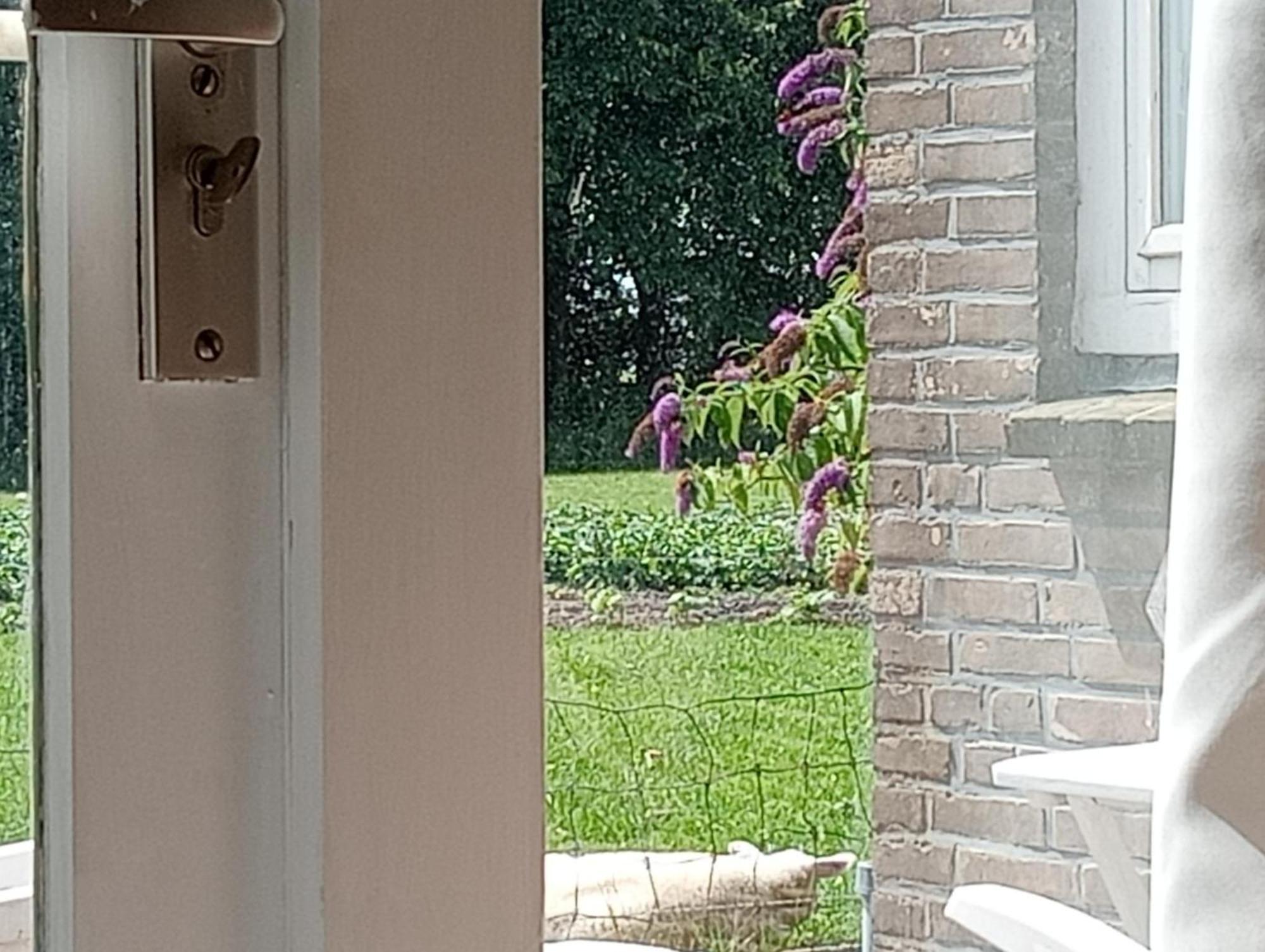 In Het Mooie Friesland Vele Bezienswaardigheden Hantum Zewnętrze zdjęcie